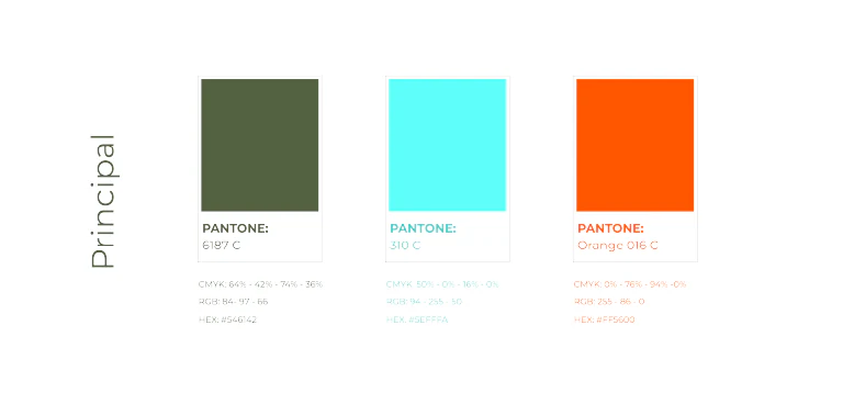 Paleta principal com os Pantones 6197 C, 310 C e Orange 016 C